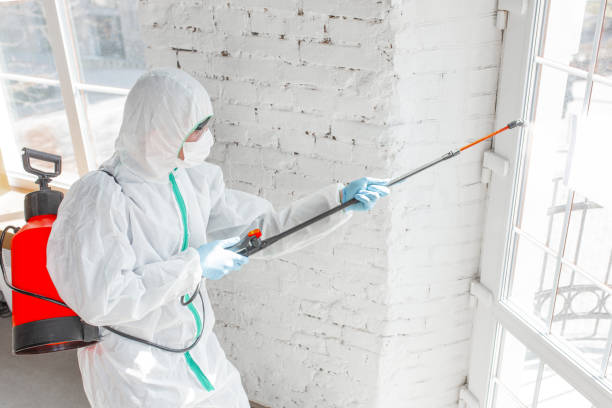 Best Industrial Mold Remediation  in Pinconning, MI